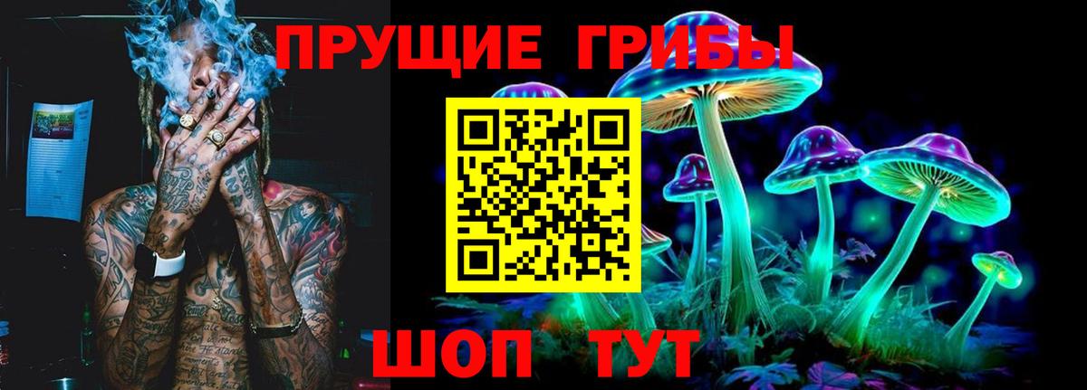 Карабулак  наркотики  Вход с VPN  Псилоцибиновые грибы Cubensis 